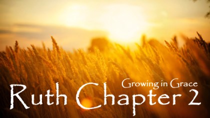 Ruth Chapter 2 Bible Study Commentary Growing in Grace