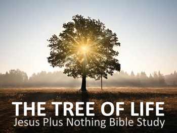 The tree of life Bible study
