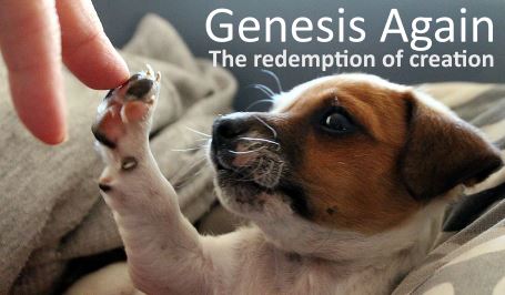 Genesis again